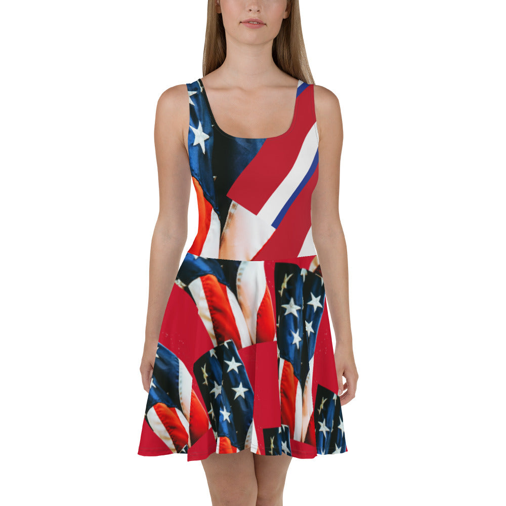 Purple Sky Patriotic Print Skater Dress